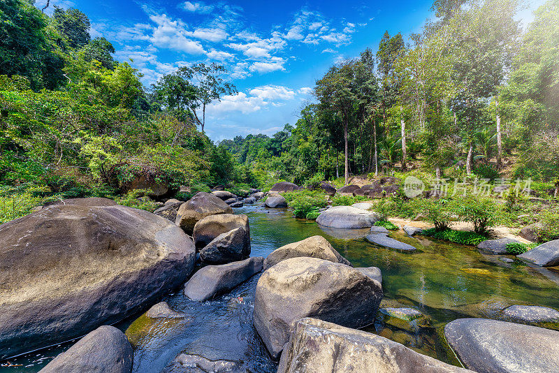 考索国家公园(Khao Sok National Par)茂密雨林中的一条河流